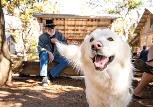 The Ultimate Guide to Pet-Friendly Rentals in Huntsville, Texas